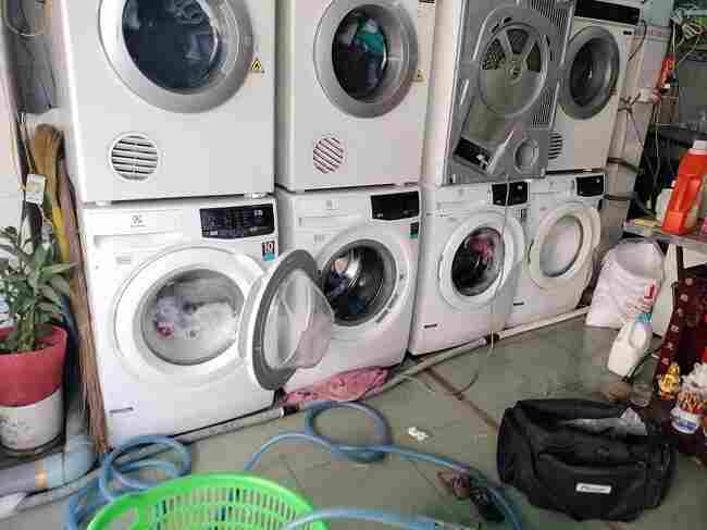 Sửa máy tại tiệm giặt ủi quận 9